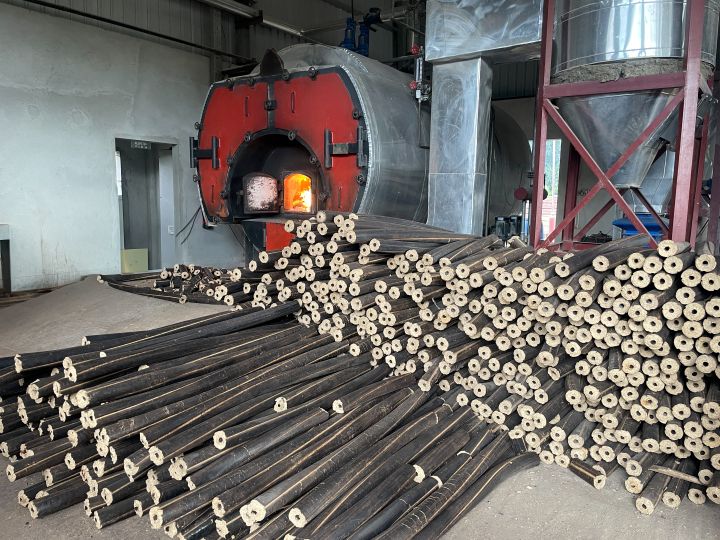 Sustainable Biomass Boiler